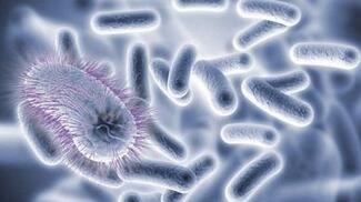  寨卡病毒蔓延 :小头婴儿不忍直视 恐怖致病原理