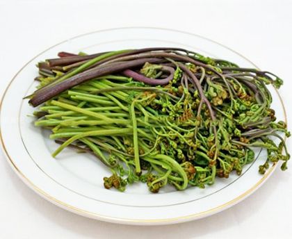 懂行医生抢着吃的10种抗癌野菜